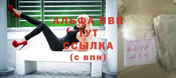 гидра Волоколамск