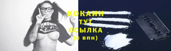гидра Волоколамск