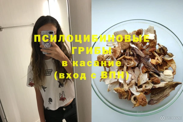 сатива Володарск