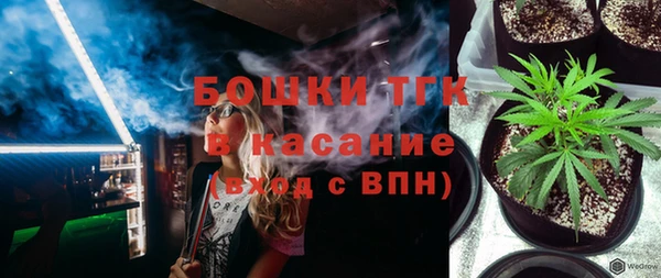 сатива Володарск