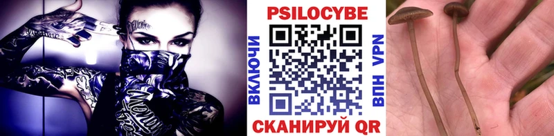 Псилоцибиновые грибы MAGIC MUSHROOMS  Власиха 